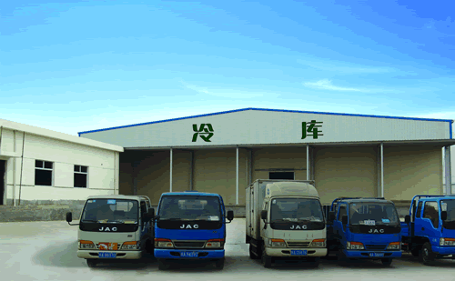 大型冷鏈物流冷藏車，果蔬冷庫安裝設計·