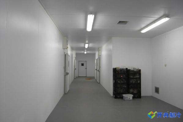 5000噸肉制品冷凍庫造價預算，上海建冷庫哪家好